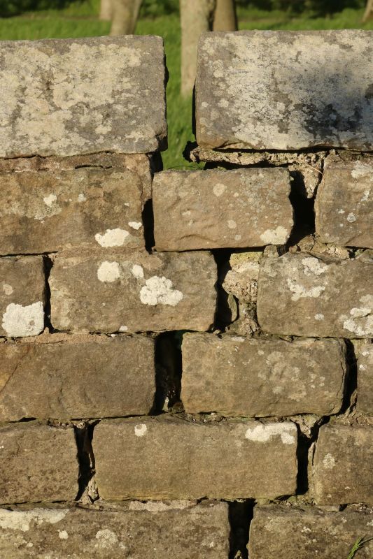 Stone Wall Repair in Davis, CA